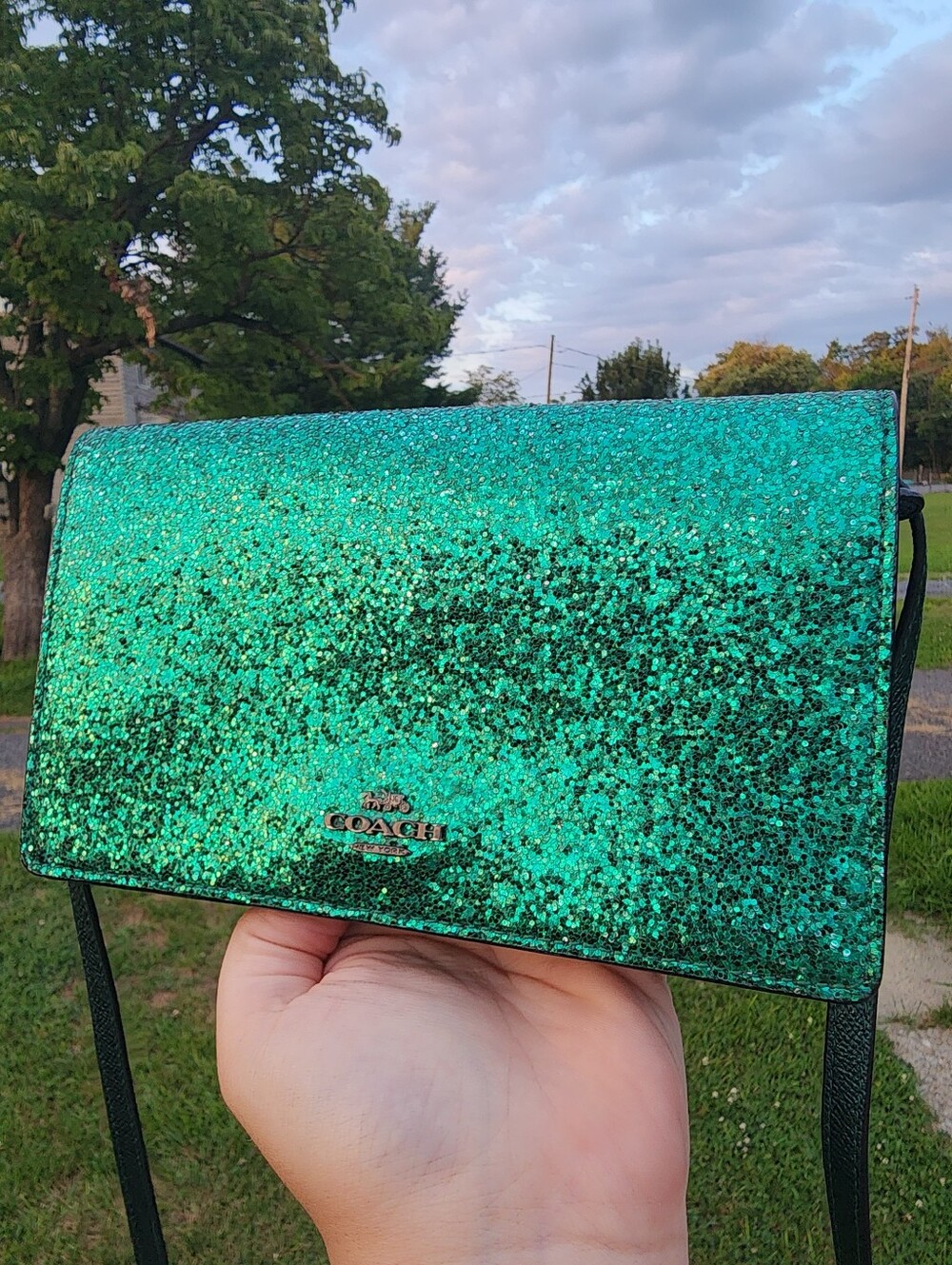 SOLD✨️NWOT Coach Limited Edition Green Glitter Hayden Foldover Crossbody, 2018 - Picture 10 of 10